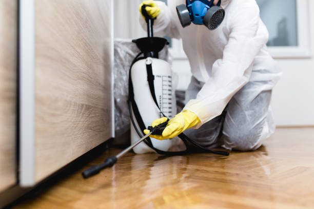 Best Commercial Pest Control Services  in Morada, CA