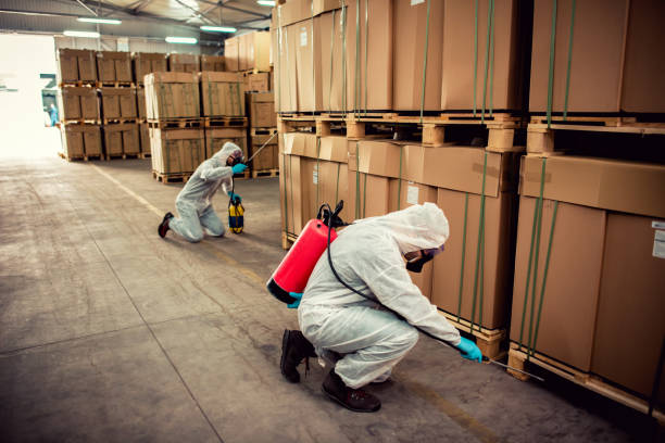 Best Pest Prevention Services  in Morada, CA