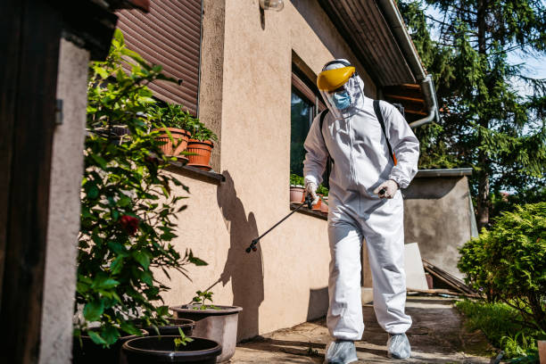Best Cockroach Control Services  in Morada, CA