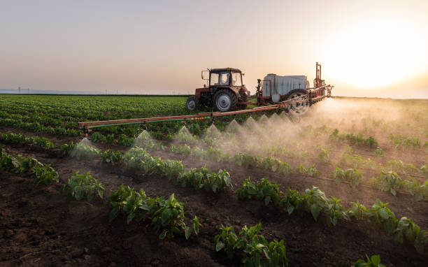 Best Pest Removal Services  in Morada, CA