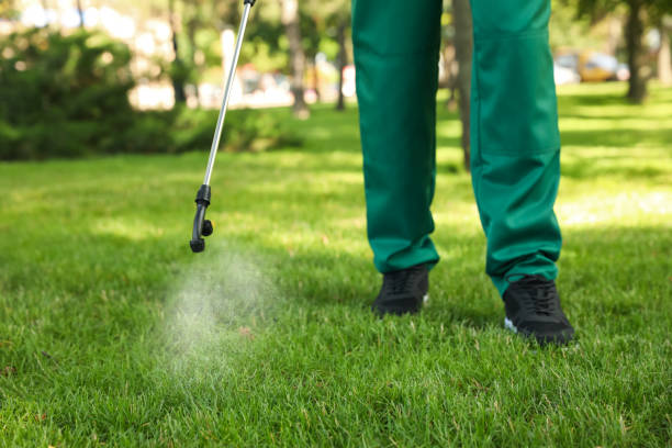 Pest Prevention Services in Morada, CA