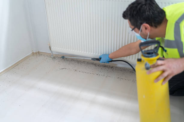 Best Affordable Pest Control Services  in Morada, CA